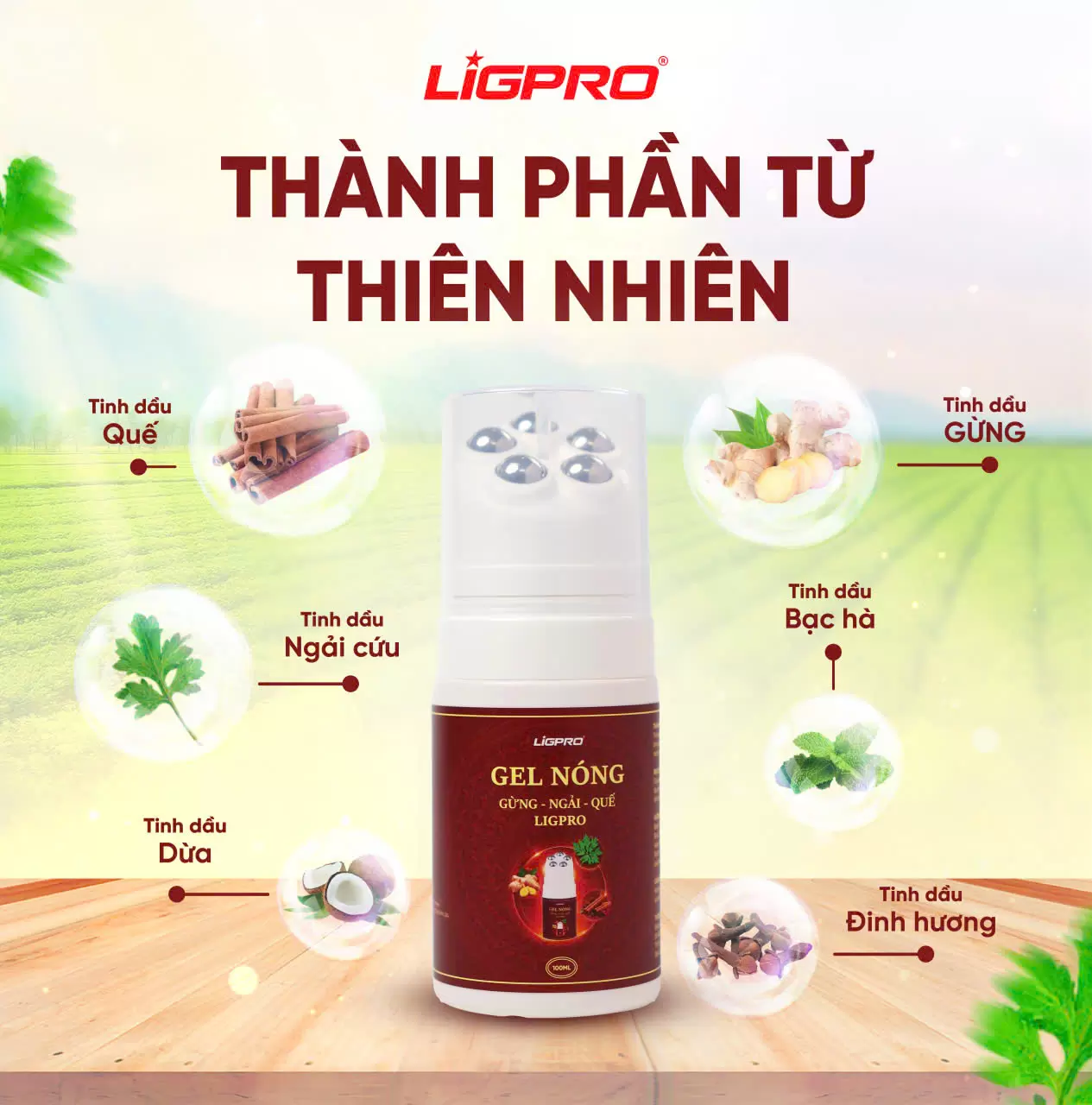Con Lăn Massage Ligpro Gừng Ngải Quế Giảm Đau Mỏi Cơ Hỗ Trợ Lưu Thông Khí Huyết