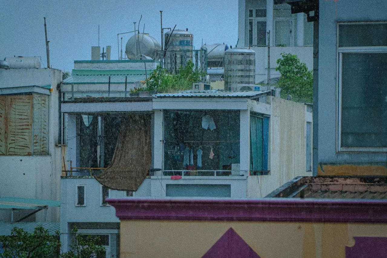 Tinh Dầu Dùng Cho Mùa Mưa: Top Loại Khử Mốc, Giữ Ấm Và Cách Chọn